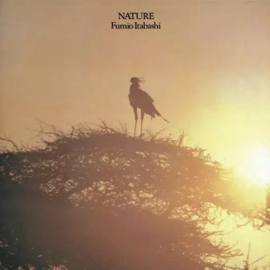 [レコード] 板橋文夫　ネイチャー　NATURE LP Nature(LP)/FUMIO ITABASHI/板橋文夫/1979年作「Nature」が初アナログ