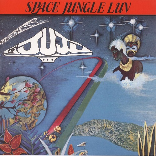 ONENESS OF JUJU / ワンネス・オブ・ジュジュ / SPACE JUNGLE LUV (LP)