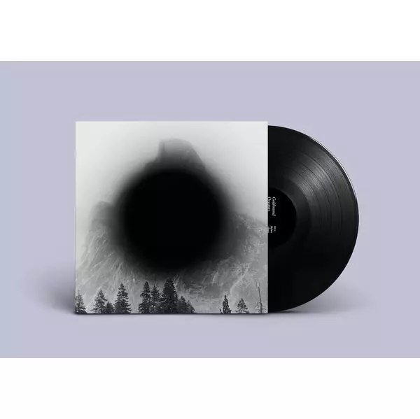 新品未開封SOMETIMES レコード GOLDMUND ゴールドムンド Goldmund /US「Sometimes」 - Mies online shop | Select shop