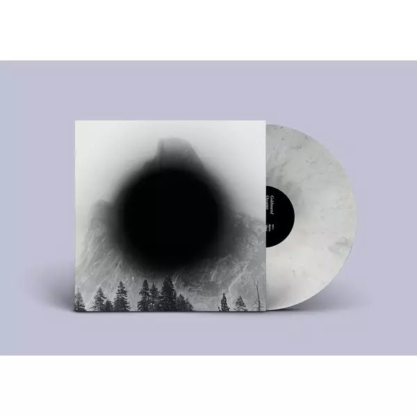 GOLDMUND / ゴールドムンド商品一覧｜CLUB / DANCE｜ディスク