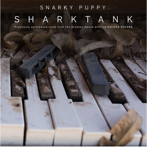 SNARKY PUPPY / スナーキー・パピー / Shark Tank(10'')