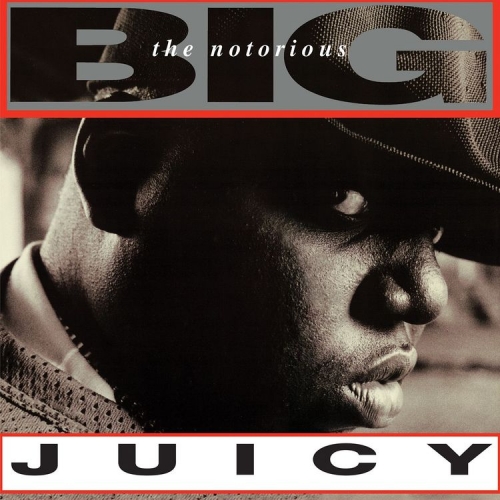 THE NOTORIOUS B.I.G. / ザノトーリアスB.I.G. / JUICY