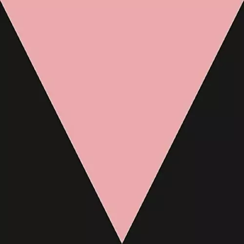 MESHELL NDEGEOCELLO / ミシェル・ンデゲオチェロ商品一覧｜OLD