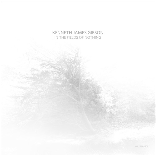 KENNETH JAMES GIBSON / IN THE FIELDS OF NOTHING