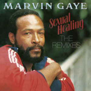 MARVIN GAYE / マーヴィン・ゲイ / SEXUAL HEALING: THE REMIXES (12")
