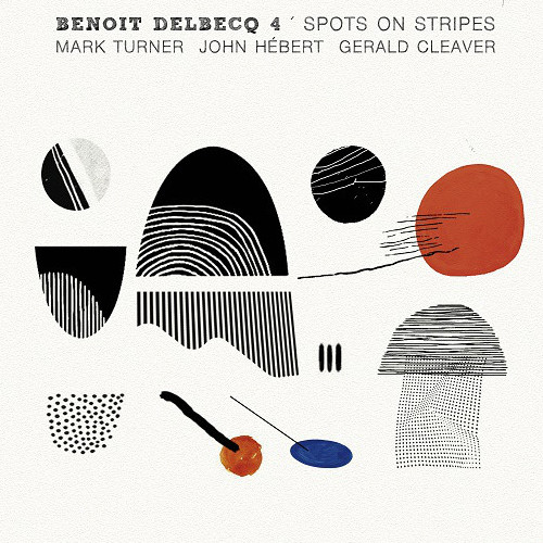 BENOIT DELBECQ / ブノワ・デルベック / Spots On Stripes