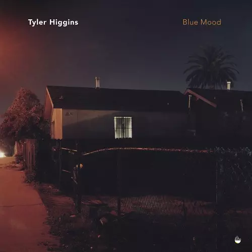 TYLER HIGGINS / Blue Mood