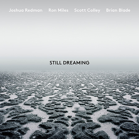JOSHUA REDMAN / ジョシュア・レッドマン / Still Dreaming(LP)