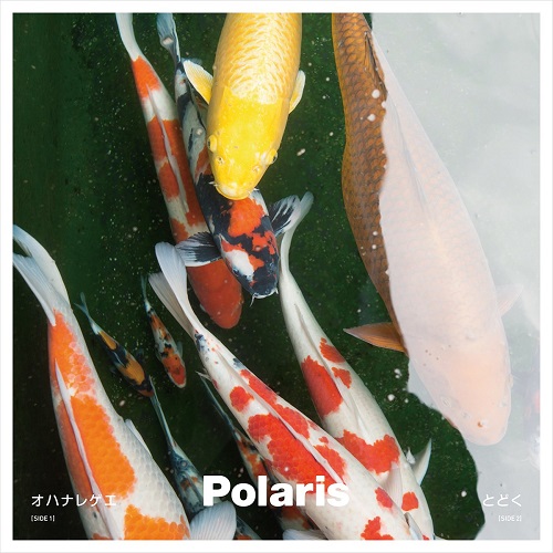 Polaris (J-POP) / オハナレゲエ / とどく