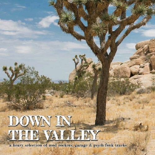 V.A. (DOWN IN THE VALLEY) / DOWN IN THE VALLEY (LP)