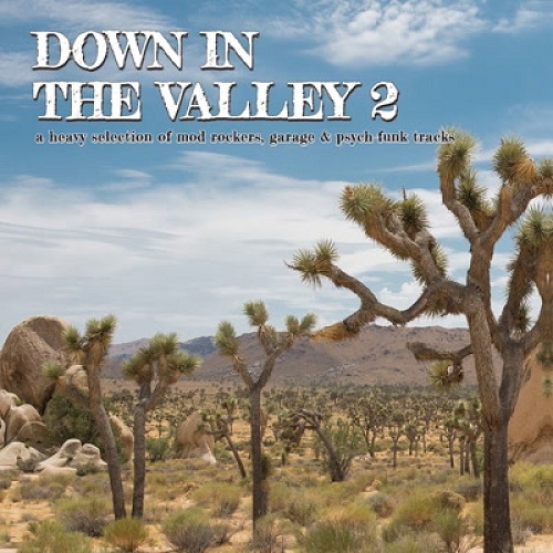 V.A. (DOWN IN THE VALLEY) / DOWN IN THE VALLEY 2 (LP)