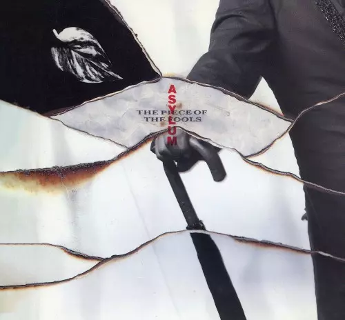 その他 Asylum [CD] Amazon.co.jp: ASYLUM (再発盤): ミュージック