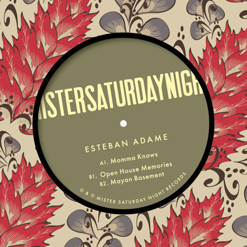 ESTEBAN ADAME   / MAYAN BASEMENT EP