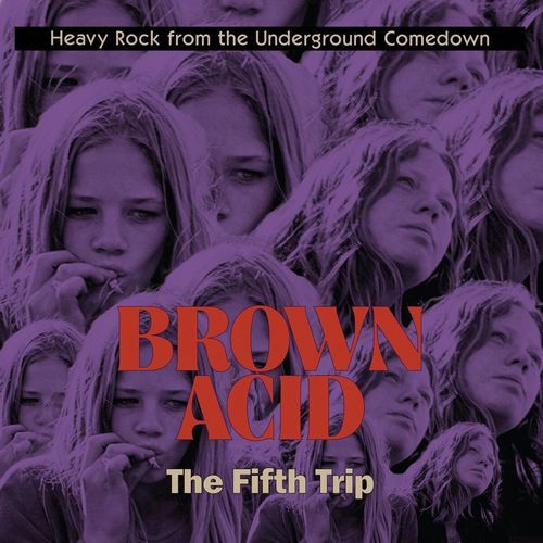 V.A.  / オムニバス / BROWN ACID: THE FIFTH TRIP (CD)