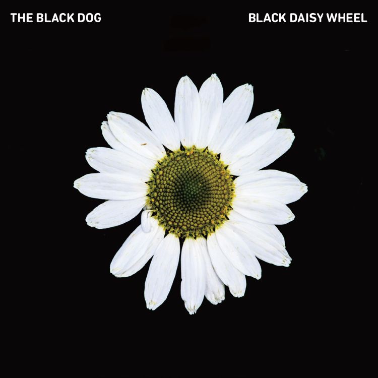 BLACK DOG / ブラック・ドッグ / BLACK DAISY WHEEL (国内仕様盤)