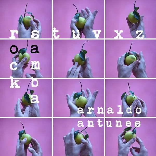 ARNALDO ANTUNES / アルナルド・アントゥネス / RSTUVXZ