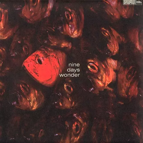 NINE DAYS WONDER / ナイン・デイズ・ワンダー商品一覧｜PUNK