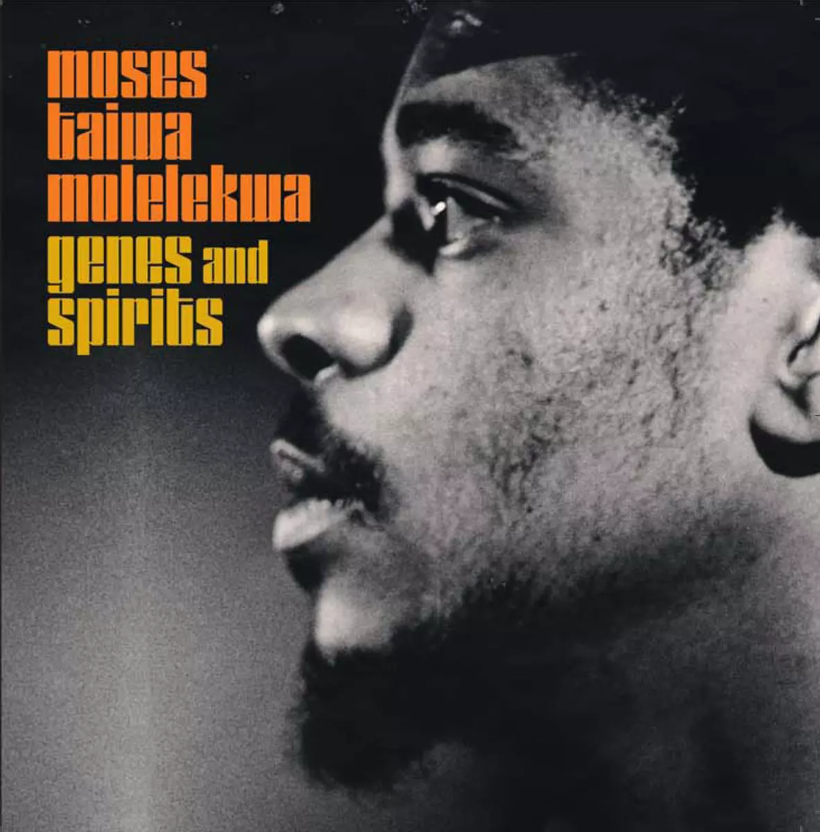 MOSES TAIWA MOLELEKWA / モーゼス・タイワ・モレレクワ / ジーンス・アンド・スピリッツ
