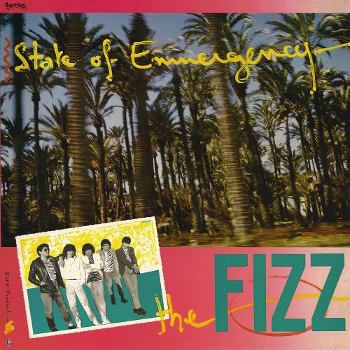 FIZZ / STATE OF EMMERGENSY (LP)