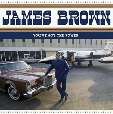 JAMES BROWN / ジェームス・ブラウン / YOU'VE GOT THE POWER (LP)