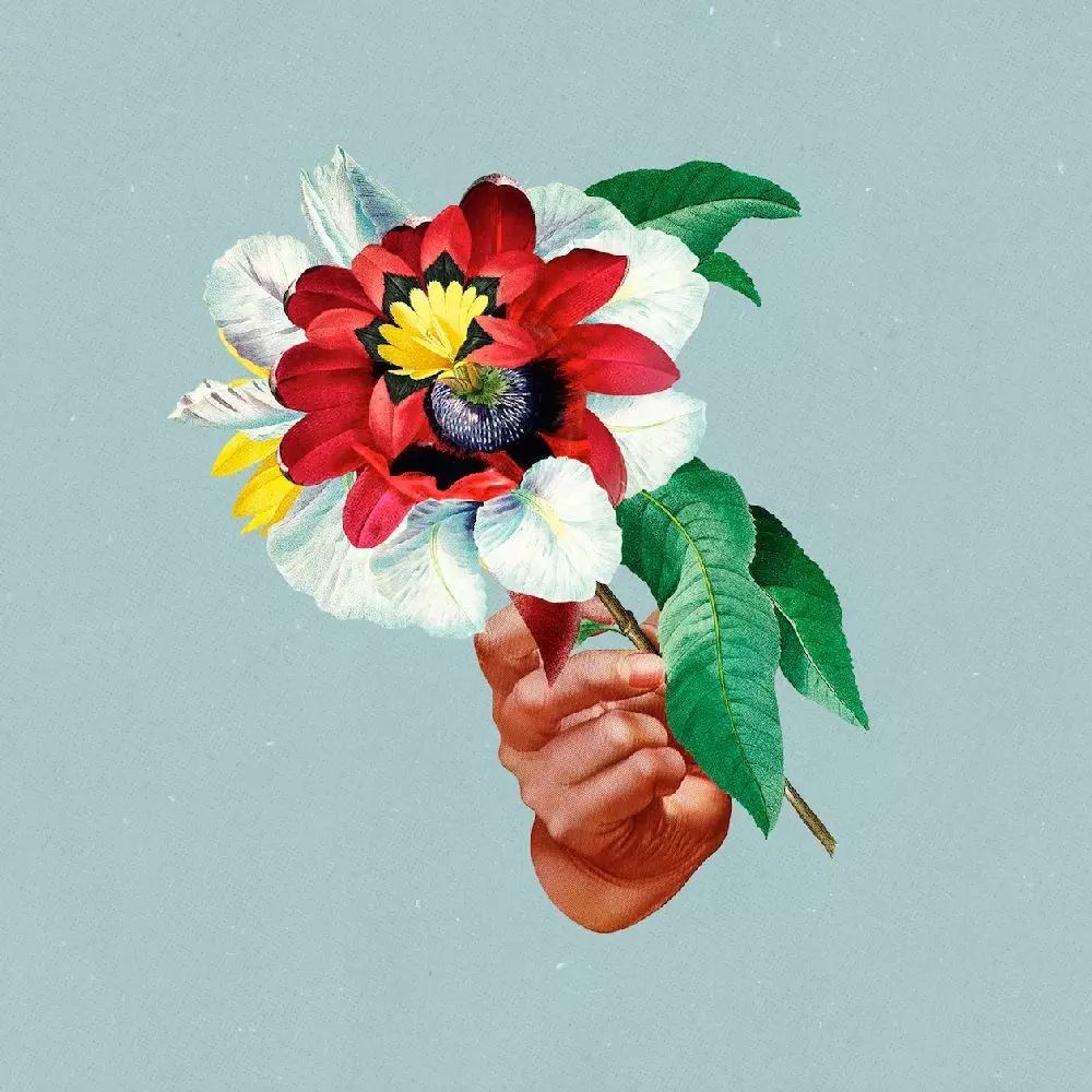 MARIBOU STATE / マリブー・ステート / KINGDOMS IN COLOUR (LTD)