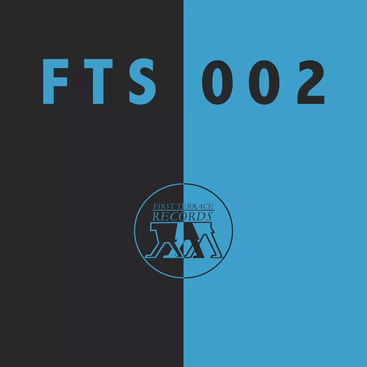 CHIHEI HATAKEYAMA / VIDA VOJIC / FTS002