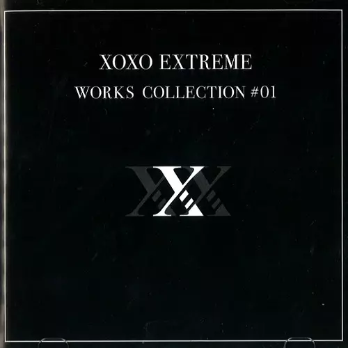 アイドル｜JAPANESE ROCK・POPS / INDIES｜ディスクユニオン