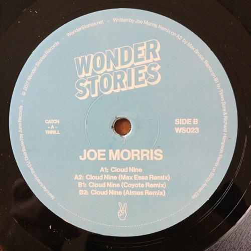JOE MORRIS(HOUSE) / JOE MORRIS