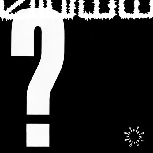 S.H.I.T. / WHAT DO YOU STAND FOR? (LP)