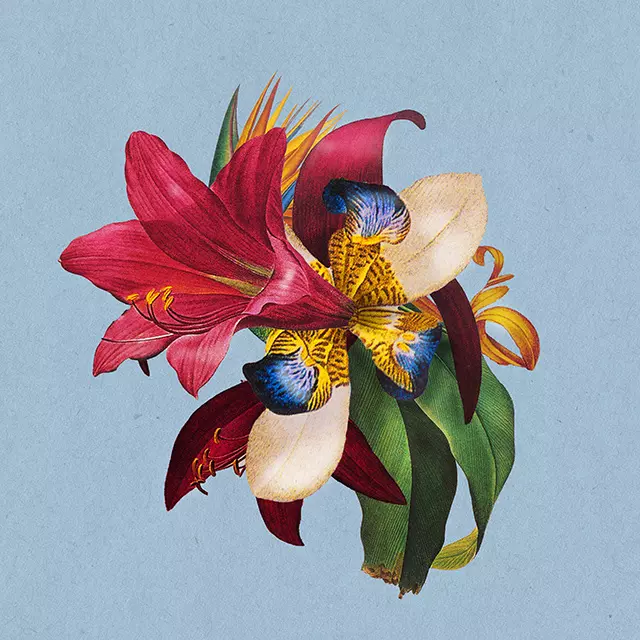 MARIBOU STATE / マリブー・ステート / FEEL GOOD (FEAT. KHRUANGBIN)