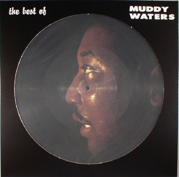MUDDY WATERS / マディ・ウォーターズ / The Best Of Muddy Waters (Picture Disc) (LP)