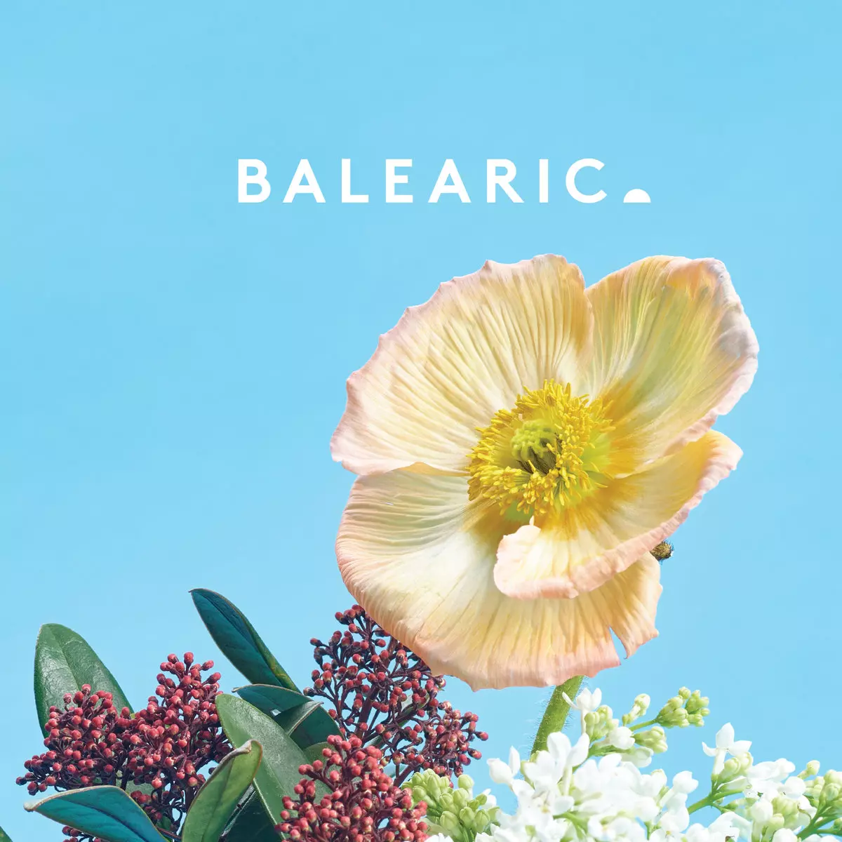 Various – Balearica 4 レア・バレアリック・コンピ BALEARIC 4/V.A.(BALEARIC)/4枚組/バレアリック・トレンド網羅