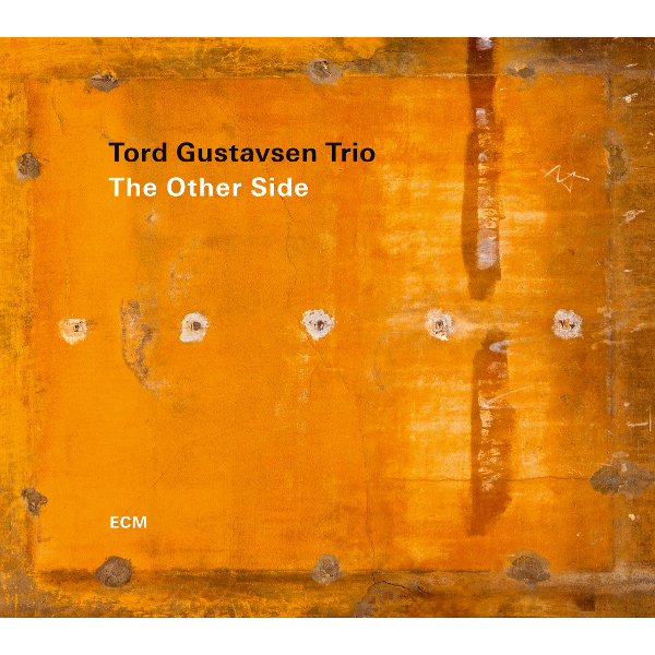 TORD GUSTAVSEN / トルド・グスタフセン / Other Side(LP)