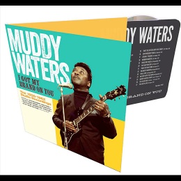 MUDDY WATERS / マディ・ウォーターズ / I GOT MY BRAND ON YOU