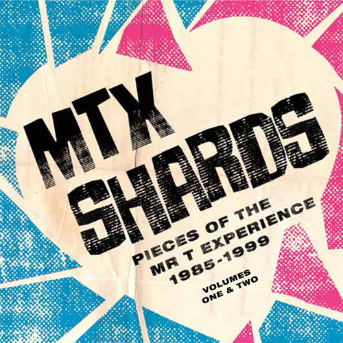 MR.T.EXPERIENCE (MTX) / ミスター・ティー・エクスペリエンス / SHARDS PIECES OF THE MR.T EXPERIENCE 1985-1999