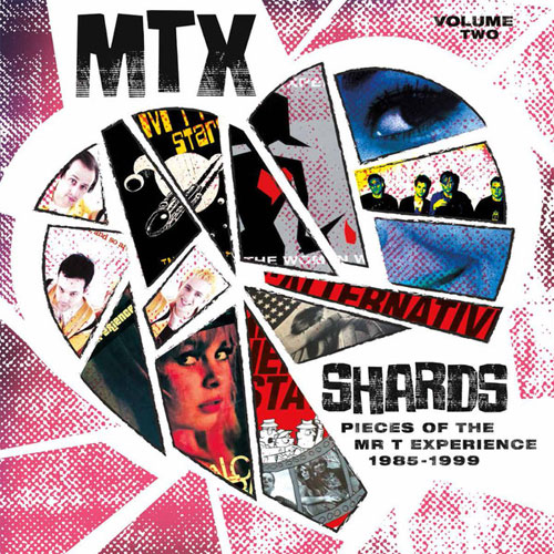 MR.T.EXPERIENCE (MTX) / ミスター・ティー・エクスペリエンス / SHARDS: PIECES OF THE MR.T EXPERIENCE VOLUME TWO (LP)