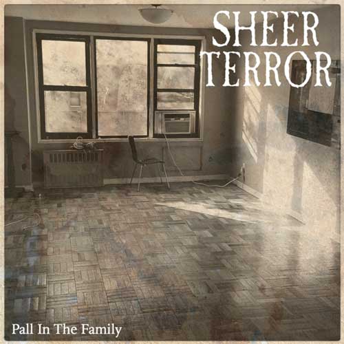 SHEER TERROR / シアー・テラー / PALL IN THE FAMILY (12"/BROWN VINYL)