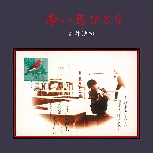 SACHI ARAI / 荒井沙知商品一覧｜JAZZ｜ディスクユニオン