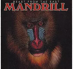MANDRILL / マンドリル商品一覧｜JAZZ｜ディスクユニオン・オンライン