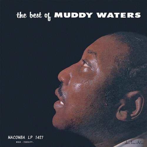 MUDDY WATERS / マディ・ウォーターズ / BEST OF (LP)