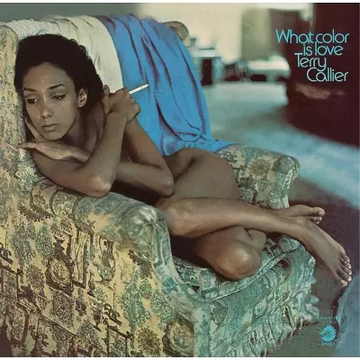 洋楽 Terry Callier / What Color Is Love(LP) WHAT COLOR IS LOVE (LP)/TERRY CALLIER/テリー・キャリアー｜SOUL