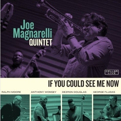 JOE MAGNARELLI / ジョー・マグナレリ / If You Could See Me Now
