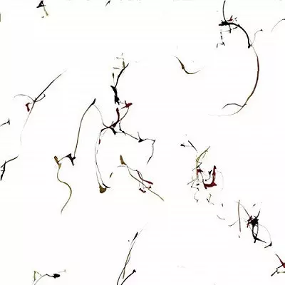 WINGED SERPENTS / Encomiums For Cecil Taylor