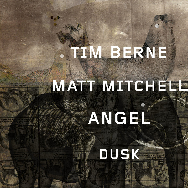 TIM BERNE / ティム・バーン / Angel Dusk