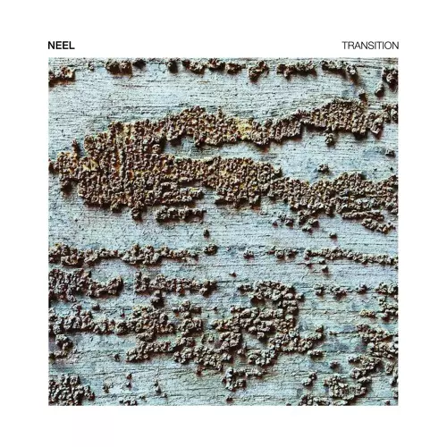 NEEL / TRANSITION