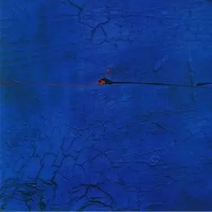 NEEL / ONE INSTRUMENT SESSIONS