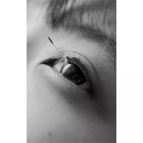 カネコアヤノ 序章 カセットテープ 特典付 祝祭 ひとりでに(カセット