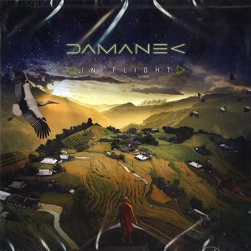 DAMANEK / IN FLIGHT