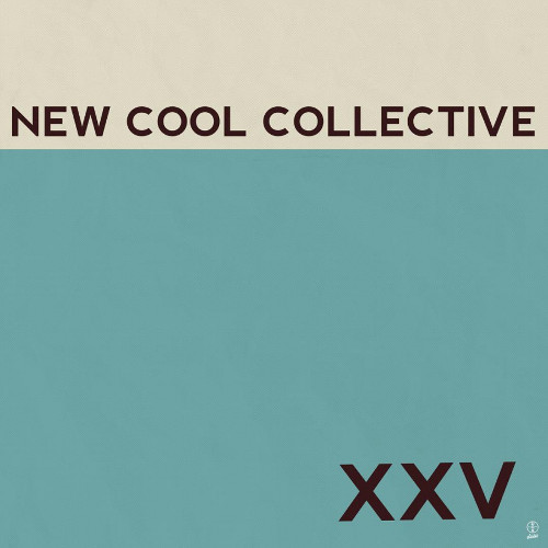 NEW COOL COLLECTIVE / ニュー・クール・コレクティヴ / XXV(LP/180g) / XXV