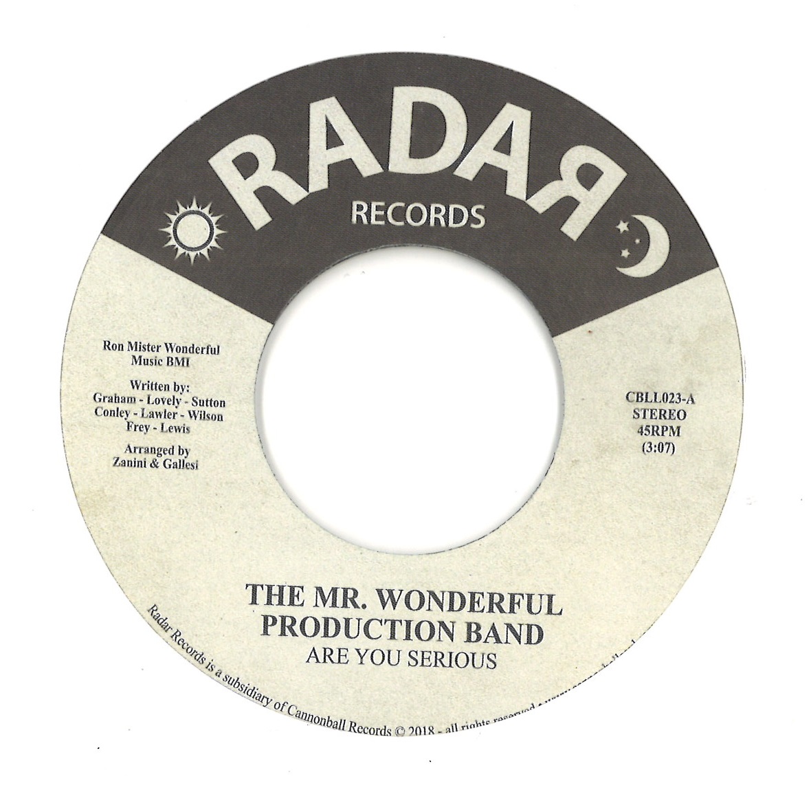 MR. WONDERFUL BAND / ARE YOU SERIOUS / JUST ANOTHER FROM MY PAST (7")